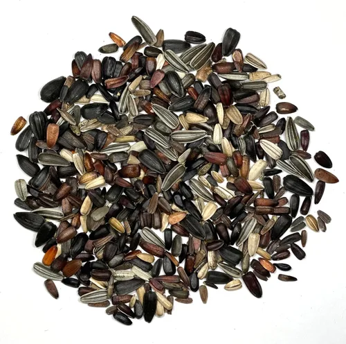 Miniatura 5 de Seed Needs Mezcla de semillas de girasol para plantar Sunset Blend 7 variedades Más de 1000 semillas Helianthus Annuus Heirloom Semillas de flores