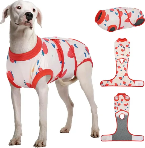 Miniatura 10 de Kuoser Traje de recuperación para perros, traje suave de esterilización para perros para recuperación de cirugía femenina, traje de recuperación