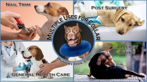 Miniatura 4 de Collar inflable de alta calidad para perros y gatos - Ayuda en la recuperación de mascotas - Cómodo y seguro para tu mascota – Collar E suave – Azul
