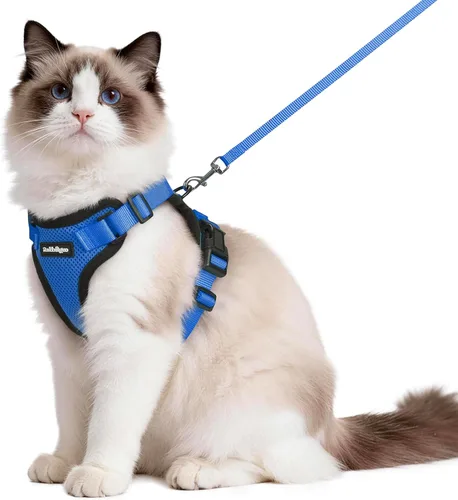 Miniatura 67 de rabbitgoo Juego de arnés y correa para gatos, arnés a prueba de escapes para paseos seguros al aire libre, chaleco suave transpirable ajustable