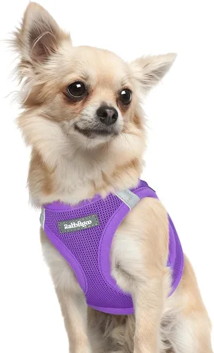 Miniatura 103 de rabbitgoo Arnés para perro pequeño, chaleco de malla suave para cachorros con hebilla de seguridad, arnés reflectante transpirable para mascotas
