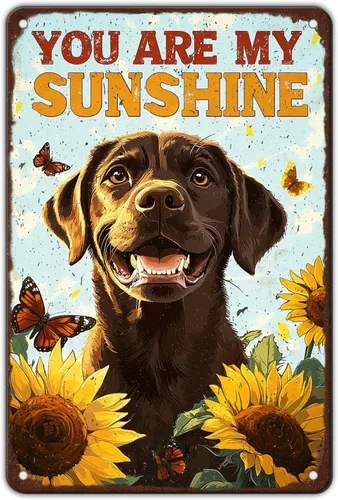 Miniatura 25 de Póster de metal retro con texto en inglés «You Are My Sunshine» de metal con texto en inglés «You Are My Sunshine» («You Are My Sunshine»)