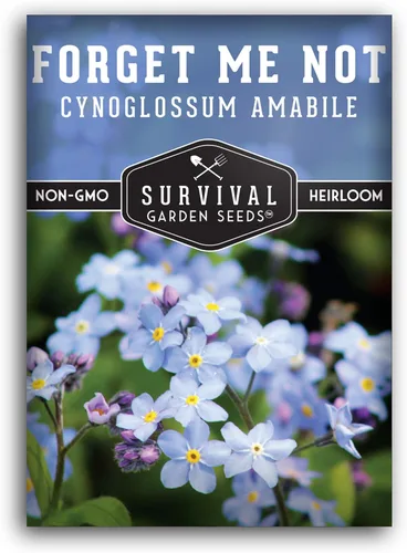 Survival Garden Seeds Paquete de 1 semilla Forget Me Not para plantar con instrucciones para cultivar pequeñas flores azules en tu jardín de