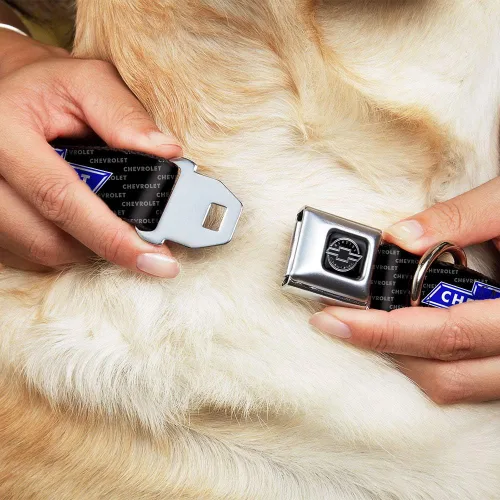 Miniatura 2 de Buckle-Down Collar de perro con hebilla para cinturón de seguridad, Chevy Bowtie REPEAT con texto, 1 pulgada de ancho, se adapta a cuello de 9 a 15