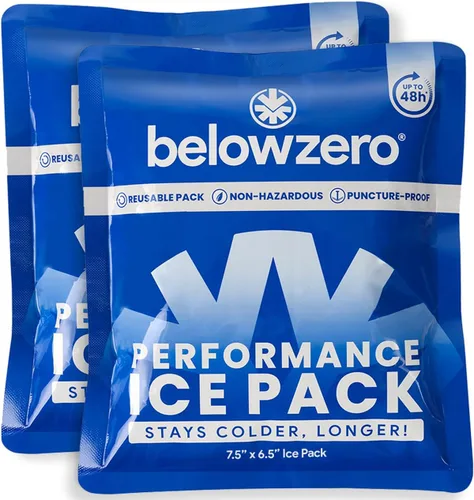 Miniatura 10 de Below Zero Paquetes de hielo precargados reutilizables para enfriadores Bloques de hielo de congelador de larga duración para acampar, bolsas