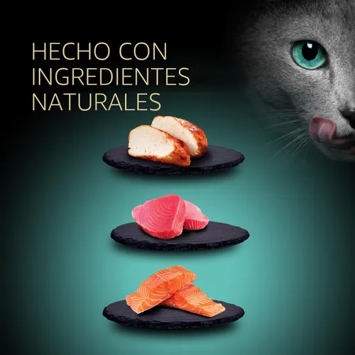 Miniatura 5 de Sheba Premium Puree Cat Treats sabor a pollo asado lamible, sabor a salmón ahumado y sabor a atún chamuscado, tubos de 0.49 onzas, 48