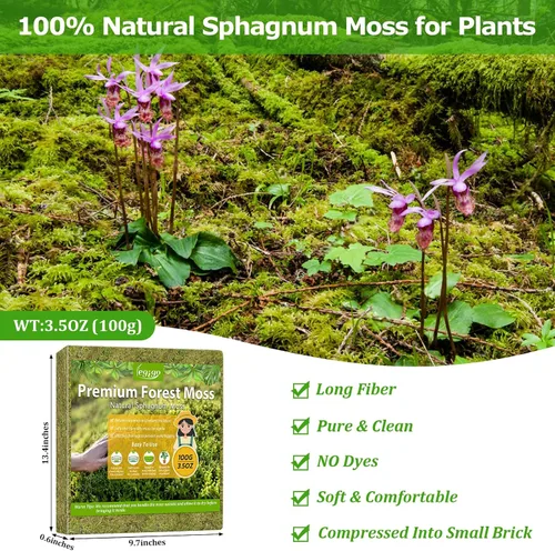 Miniatura 2 de Legigo Musgo esfagnum de 3.5 onzas para plantas, mezcla para macetas de musgo de orquídea natural de 4 cuartos de galón, mezcla seca, musgo
