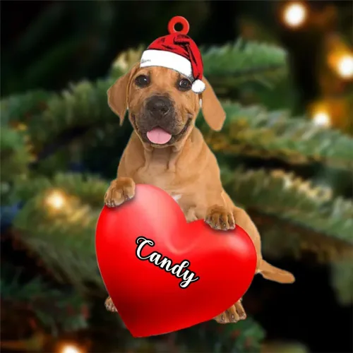 Miniatura 51 de Adornos de Navidad personalizados para perros, nombre personalizado, adorno de Malamute de Alaska, adornos acrílicos, regalos de Navidad, amantes