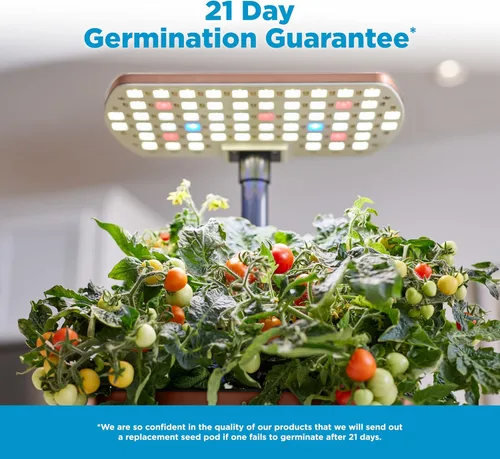 Miniatura 7 de AeroGarden Harvest Lite en Mocha, Jardín hidropónico interior libre de suelo con luz LED de cultivo para jardinería de hasta 6 hierbas y vegetales