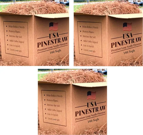 Miniatura 6 de Paja de pino de EE. UU., mantillo de aguja de pino de primera calidad (mantillo de aguja de pino, cubre 100 pies cuadrados, 2 juegos)