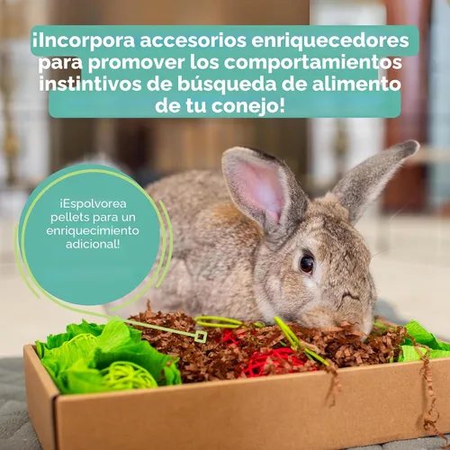 Miniatura 9 de Oxbow Essentials, alimento básico para la salud del conejo adulto