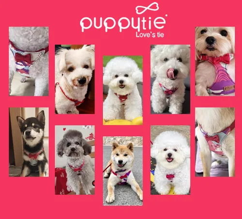 Miniatura 6 de Puppytie Arnés sin tirones para perro, con correa multifunción, pechera suave y ajustable para mascota, no ahorca, chaleco a prueba de escape, rosa
