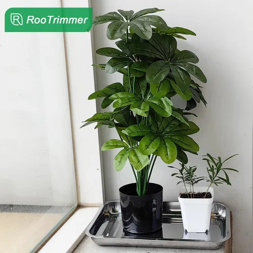 Miniatura 7 de RooTrimmer Bandejas de acero inoxidable para plantas, paquete de 5 bandejas multiusos para plantas de interior y exterior, bandeja de inicio