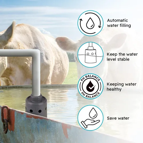 Miniatura 3 de Válvula de flotador de 1 pulgada, llenado automático de agua, mantenimiento de un nivel de agua constante Válvula de cierre automático de agua