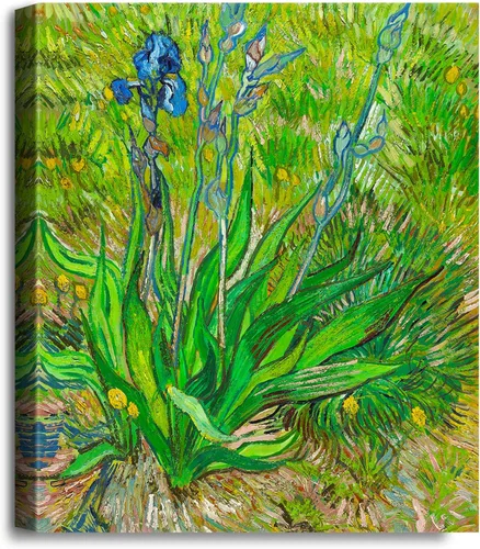 Miniatura 113 de A&T ARTWORK Noche estrellada sobre el Ródano de Vincent Van Gogh. Tamaño del marco: 36 x 30 pulgadas, tamaño de la imagen: 30 x 24 pulgadas