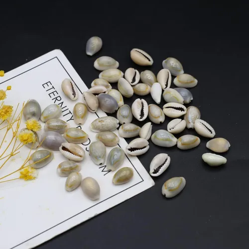 Miniatura 3 de Acuario de concha natural para pecera, cuentas hechas a mano para hacer joyas, manualidades, pulsera, accesorio