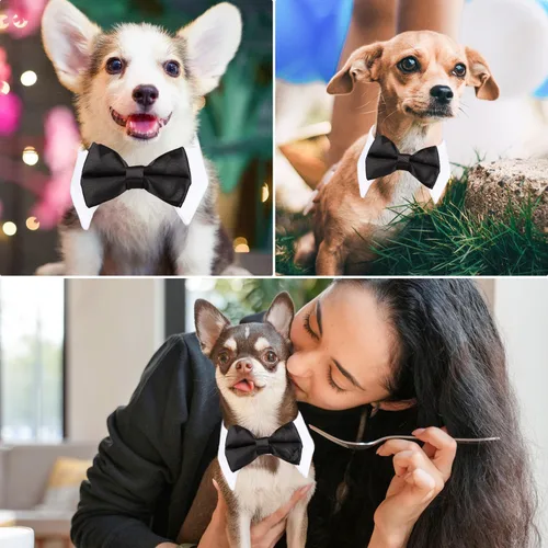Miniatura 4 de Collar de corbatín negro para gato Segarty, lindo esmoquin para cachorros con corbatín para perros con collar blanco ajustable hecho a mano