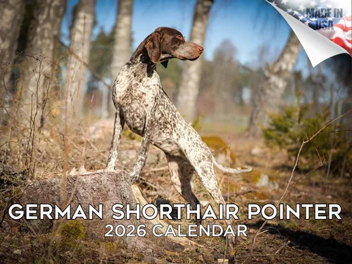 Miniatura 39 de Calendario 2025 2026 de cachorros Cocker Spaniel - Calendario mensual de pared de raza de perro - 12" x 24" abierto - Papel grueso sin sangrado