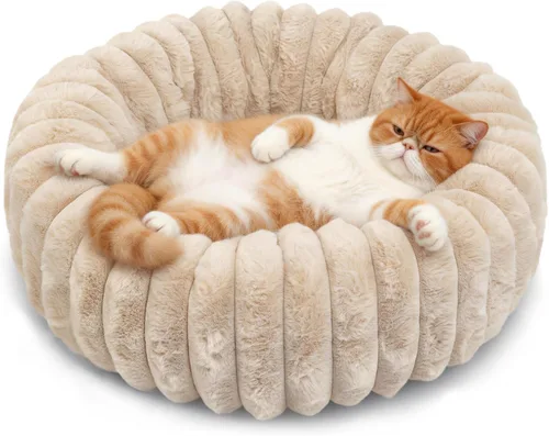 Miniatura 13 de Camas rosadas para cachorros pequeños y gatitos, lavables, suaves y cómodas, cama para perros con lados para gatos de interior, cama redonda