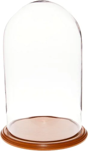 Miniatura 5 de Plymor 11.75" x 20" Pantalla de cristal Dome Cloche (base de nogal)