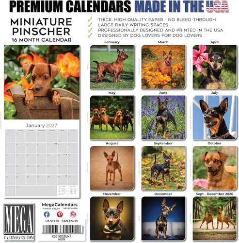 Miniatura 5 de Calendario 2025-2026 de Pinscher en miniatura - Calendario mural mensual de raza de perro - 12" x 24" abierto - Papel grueso sin sangrado - Regalo