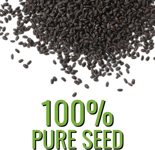 Miniatura 5 de Seed Needs Semillas de albahaca para plantar hierbas de albahaca tailandesa, reliquia sin OMG y sin tratar, cultiva un jardín de hierbas culinarias
