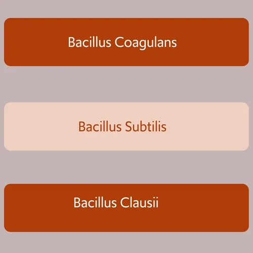 Miniatura 2 de Bacillus B3 Probiótico a base de esporas + enzimas para la salud intestinal y el apoyo del microbioma, probiótico diario estable con Bacillus