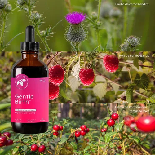 Miniatura 5 de Mountain Meadow Herbs Gentle Birth for Birth Prep / Preparación del parto, extracto de hierbas líquido de acción rápida para apoyo al parto - 4oz