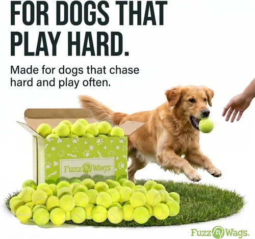 Miniatura 2 de Endless Fetch Box, 100 pelotas de tenis para perros, pelotas de tenis reales recicladas, pelotas de tenis a granel para perros, pelotas de tenis