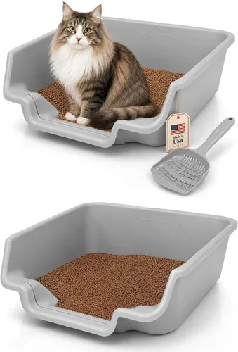 Miniatura 32 de KittyGoHere - Caja de arena para gatos mayores, sartén pequeña con cuchara jumbo de mango largo, caja de arena para gatos de entrada baja, ligera