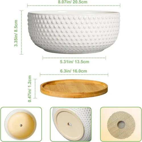 Miniatura 3 de Macetas para suculentas de 8 pulgadas - Macetas de bonsái de cerámica para plantas de interior, maceta con agujero de drenaje y platillo, maceta