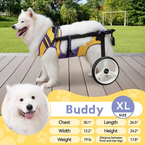 Miniatura 8 de Silla de ruedas para perros para patas traseras, grande, pequeña, silla de ruedas para perros, carritos ajustables para perros con ruedas para patas
