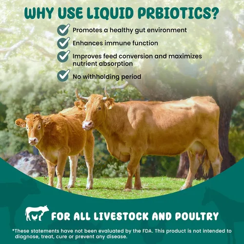 Miniatura 4 de SCD Bio Livestock - Aditivo líquido probiótico para piensos y agua, suplemento digestivo orgánico para vacas, cerdos, caballos, pollos, patos