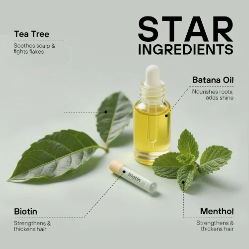 Miniatura 4 de Tea Tree Scalp Scrub – 14 onzas líquidas (14 onzas líquidas) 1 botella, tratamiento exfoliante e hidratante para cuero cabelludo seco y escamoso