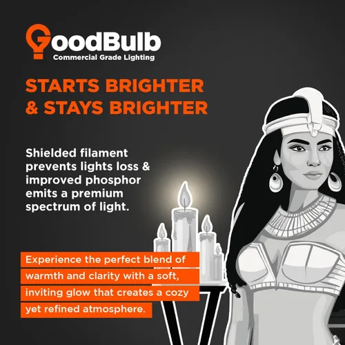 Miniatura 6 de GoodBulb Bombilla fluorescente T8 de 25 W, 36 pulgadas, 3000 K, luz blanca cálida, base bi-pin media, 2225 lúmenes, 86 CRI, 36000 horas de vida