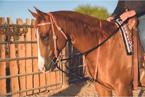 Miniatura 2 de PROFESSIONAL'S CHOICE Ad Draw Rope Martingale, negro, 0 (AD8062HL)