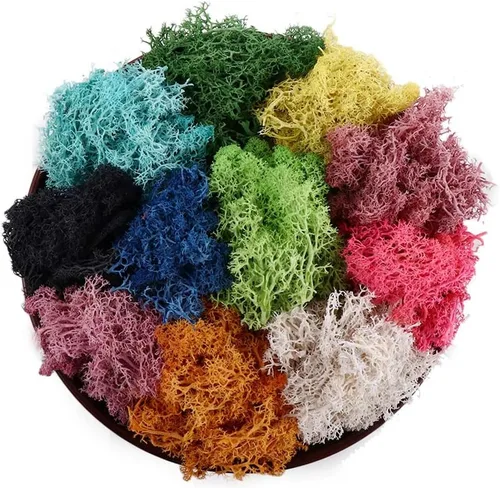 Miniatura 8 de Vctitil Musgo falso de 4.23 onzas, musgo de bosque preservado, musgo de reno, musgo para manualidades, plantas en maceta, arreglos florales, jardín
