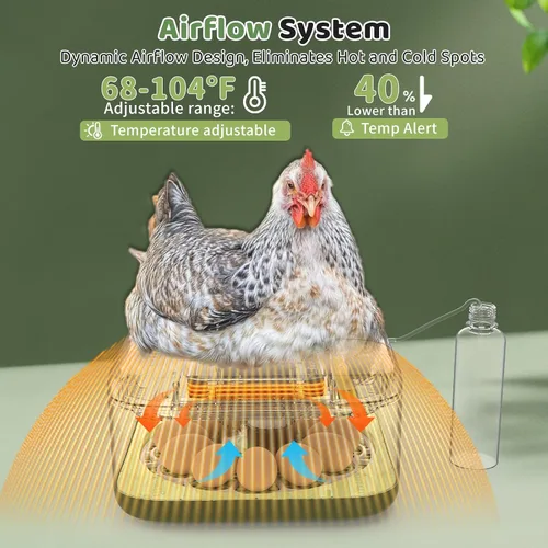 Miniatura 7 de Incubadoras para incubar huevos de 12 huevos, incubadora digital de huevos de precisión, control automático de humedad de temperatura de 6
