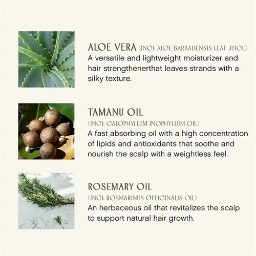 Miniatura 4 de INNERSENSE Organic Beauty - Acondicionador Natural Sweet Spirit Sin Enjuague Desenredante, Hidratante, Suavizante Cuidado del Cabello Sin