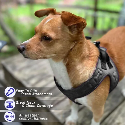 Miniatura 2 de Arnés de Ajuste Cómodo Step-in para Perros y Cachorros - Arnés de Chaleco Cómodo para Perros para Todo Clima: Ajustable, Suavemente Acolchado, Fácil