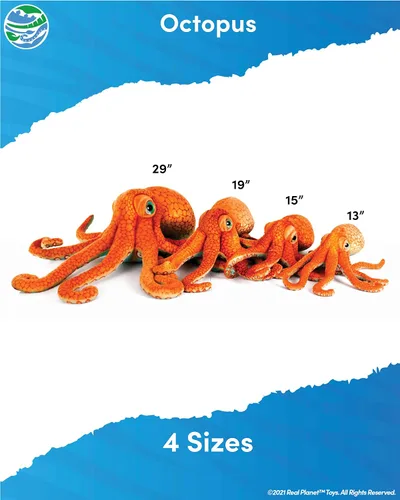 Miniatura 3 de Real Planet Peluche de Sea Life, regalo realista para niños de todas las edades, peluche de criaturas marinas del océano, regalos de cumpleaños