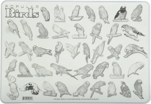 Miniatura 2 de Painless Learning Popular Birds - Mantel individual, tamaño grande
