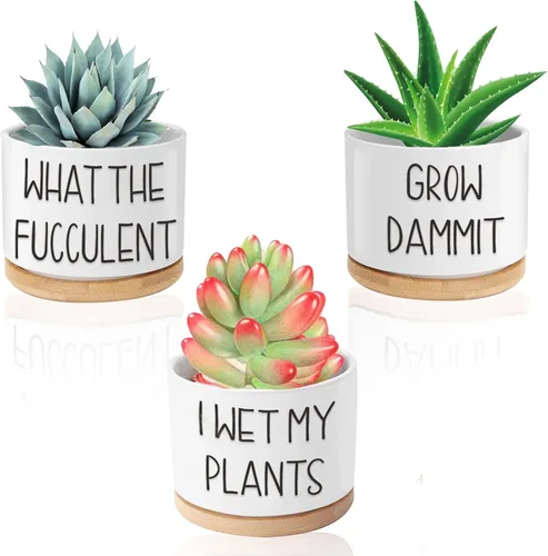 Miniatura 8 de Macetas para suculentas, macetas divertidas de cerámica de 3.15 pulgadas con etiquetas para plantas, macetas pequeñas con agujeros de drenaje
