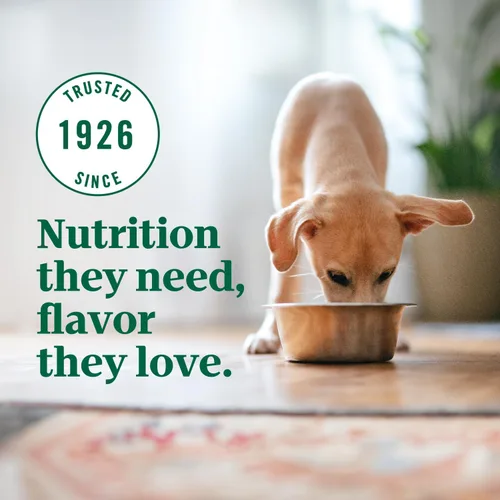 Miniatura 10 de Nutro Alimento seco para cachorros ultra alto en proteínas, trío de proteínas de pollo, cordero y salmón, bolsa de 3.5 libras