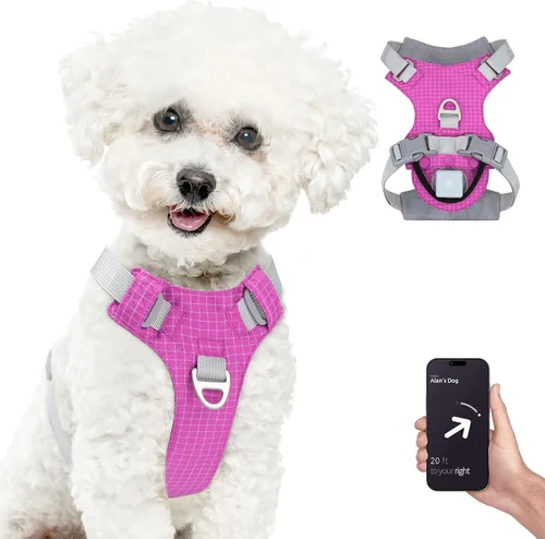 TagME Arnés para perro sin tirones con 2 clips para correa, ligero y visible para caminar todo el día, chaleco para mascotas sin estrangulamiento,