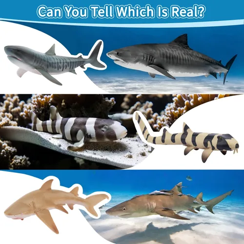 Miniatura 4 de Toymany 10 figuras realistas de juguete de baño de tiburón de 5 a 6 pulgadas de largo, juego de figuras de plástico de animales marinos del océano