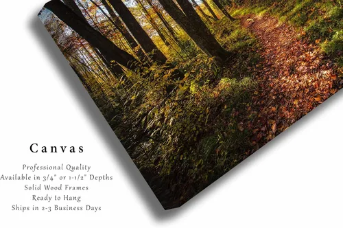 Miniatura 2 de Nature Canvas Wall Art (Ready to Hang) Gallery Wrap of Leaf Covered Trail Leading Into Forest on Autumn Day in Great Smoky Mountains Tennessee