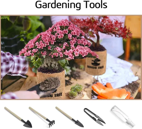 Miniatura 8 de Kit de inicio de jardín bonsái para interiores, 5 semillas que crecen en arce rojo, glicina, pino negro, árbol de judas, acacia, incluye macetas