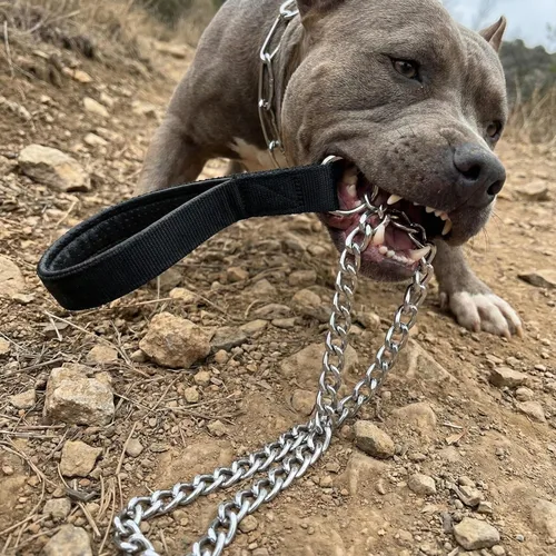 Miniatura 2 de Correa resistente para perro, correa de metal para perro con mango acolchado para perros grandes y medianos (4 pies x 0.118 in (0-80 libras))