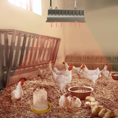 Miniatura 7 de Lámpara de calor de gallinero para perrera, cama de gato, reptiles e incubadoras - Lámpara de calor ajustable de 250 W con 2 ajustes de calor